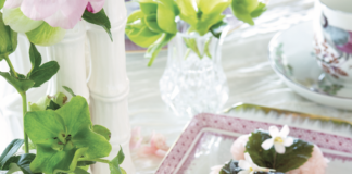 vic cherry blossom 11