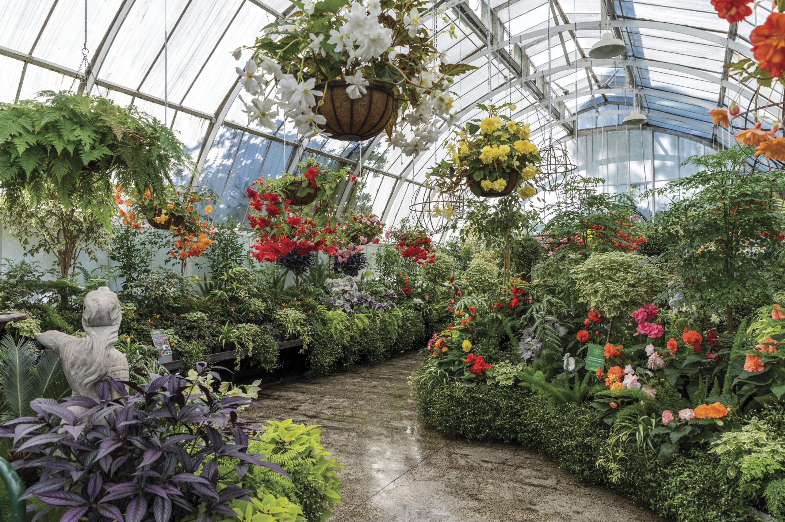 inside view of a greenhouse brimming with flowers and plants in Christchurch, New Zealand