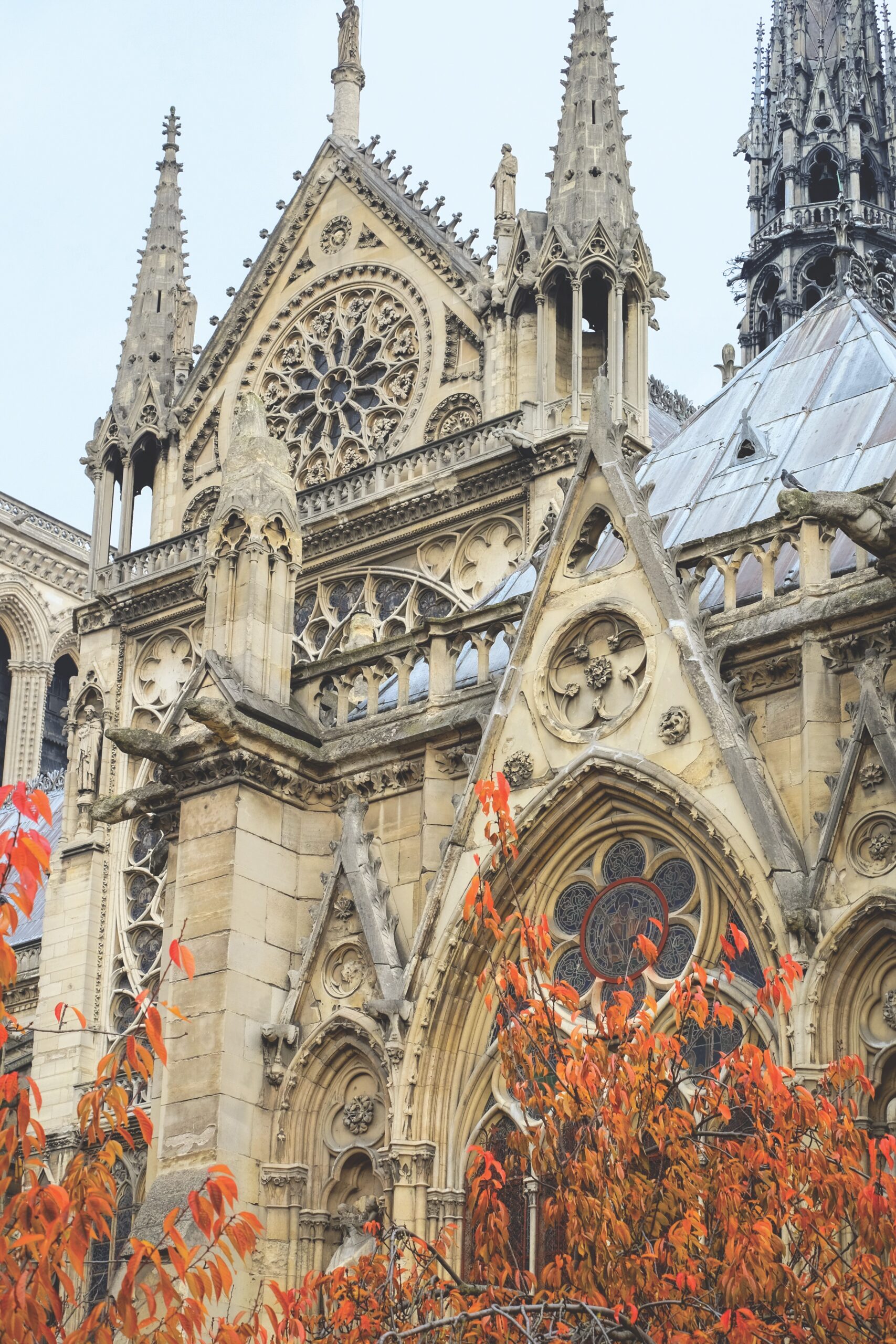 Notre Dame de Paris Cathedral most beautiful Cathedral in Parisl France