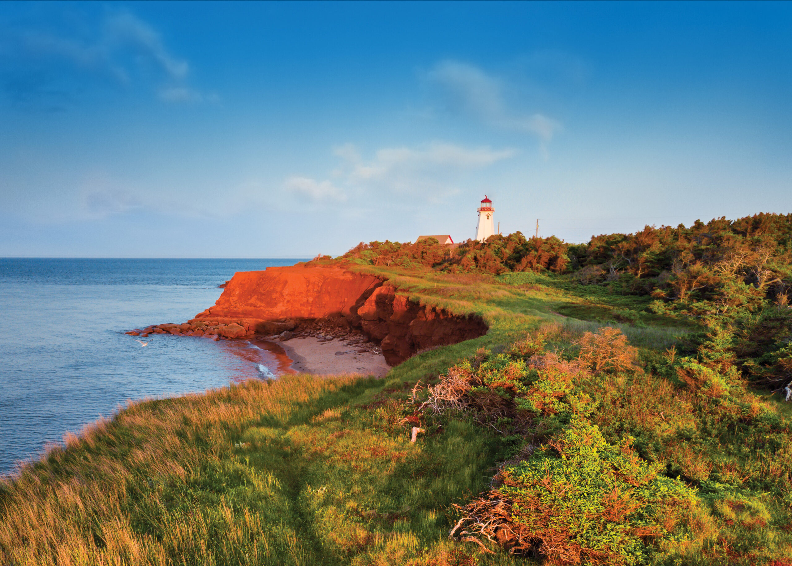 Coast of Prince Edward Island