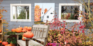 Bench with pumpkins and autumnal florals