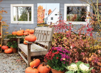 Bench with pumpkins and autumnal florals