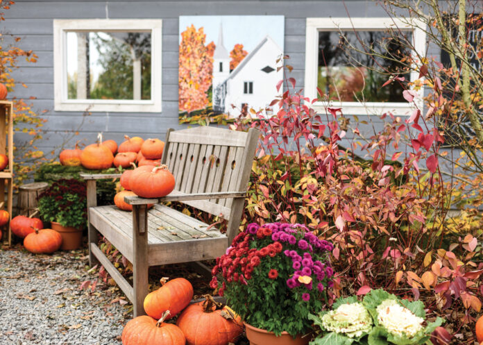 Bench with pumpkins and autumnal florals