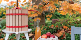 Apples in a basket next to bottle of apple cider