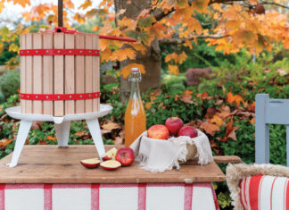 Apples in a basket next to bottle of apple cider