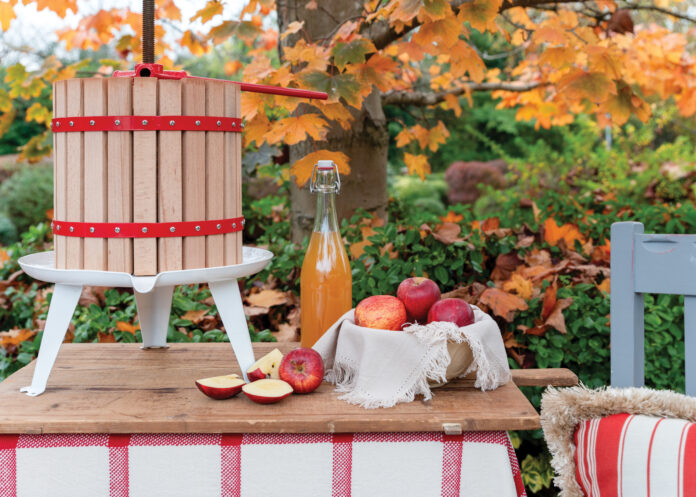 Apples in a basket next to bottle of apple cider