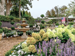 Where Luxury Blooms: Shopping at East Hampton Gardens East Hampton Gardens