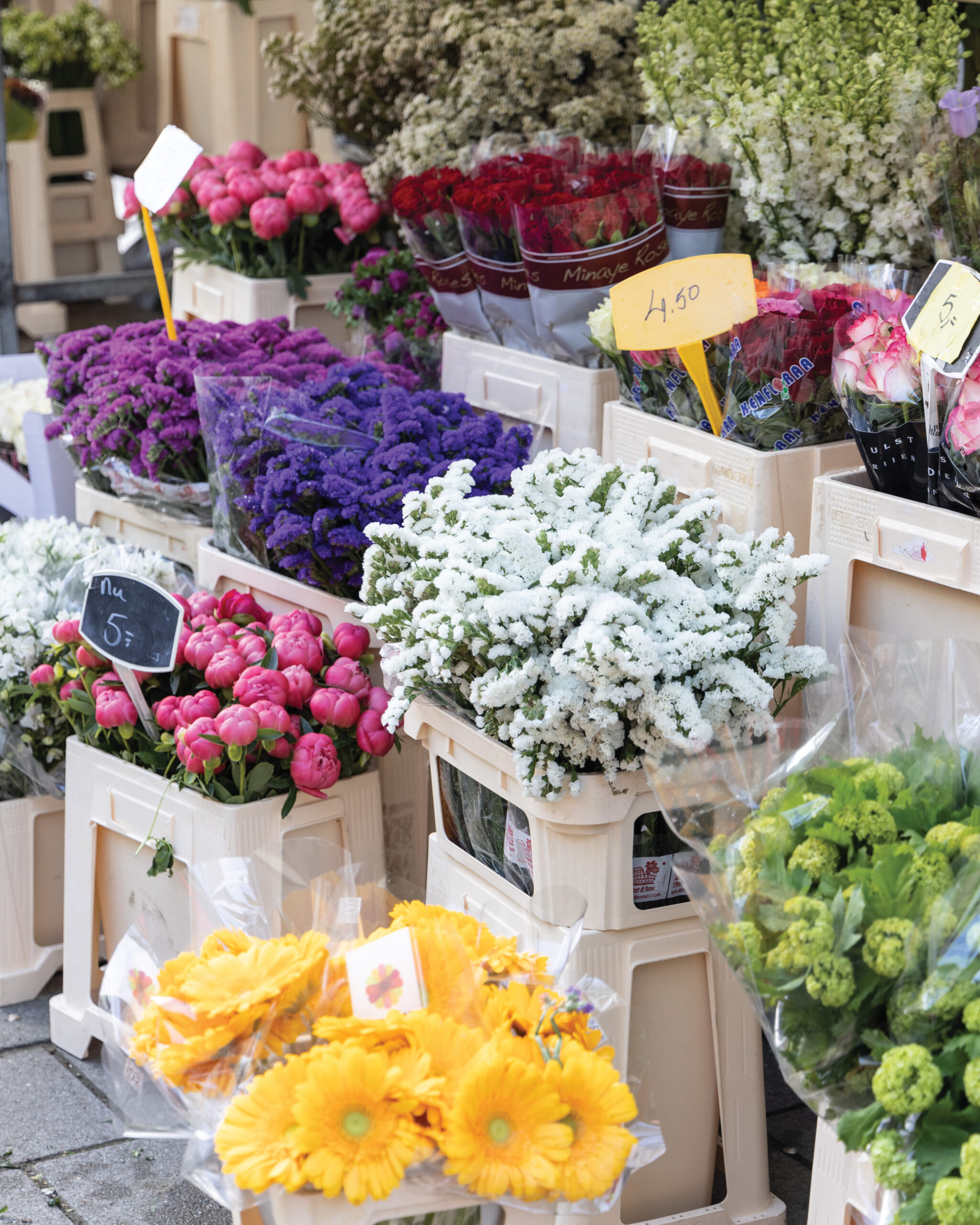Florals in buckets for sale at a market in Amsterdam