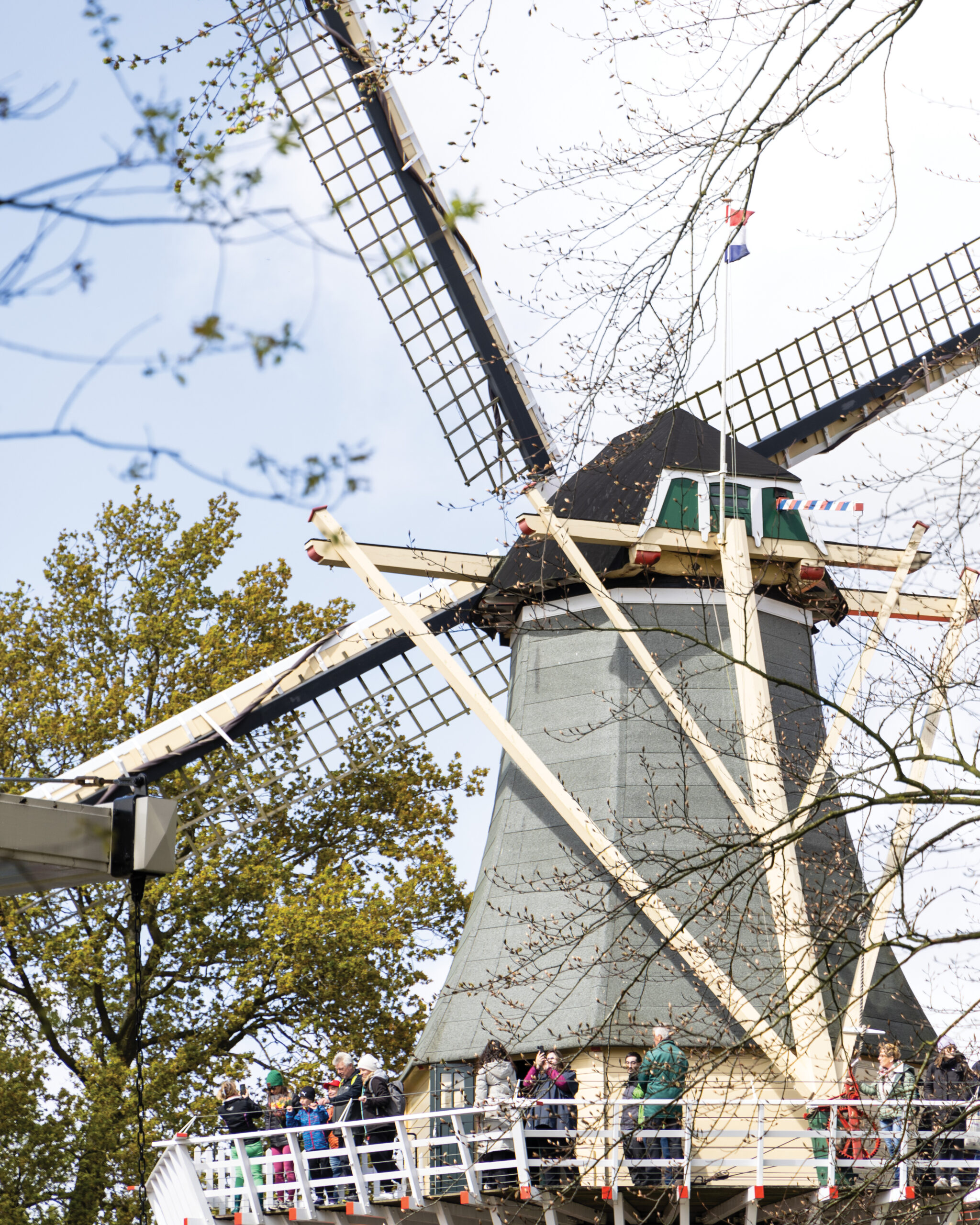 Windmill in Amsterdam