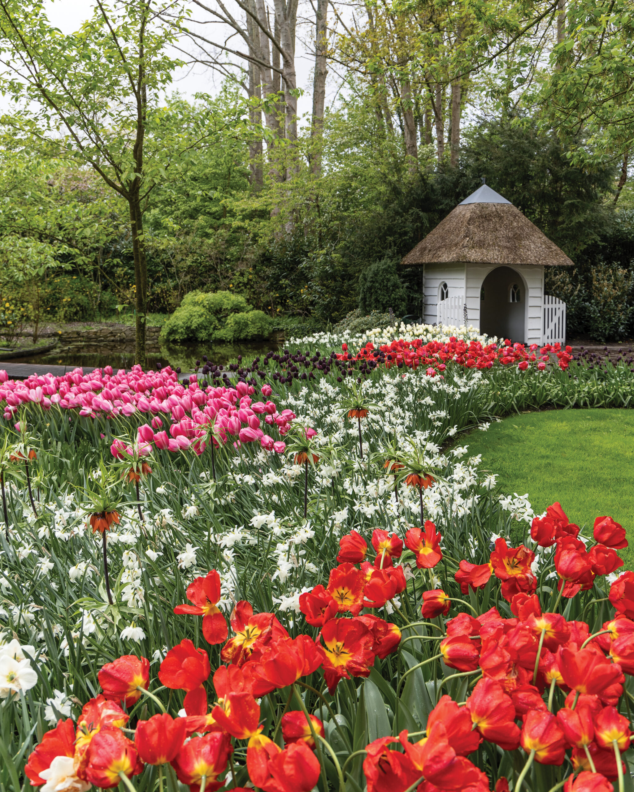 Tulips and poppies in an outdoor garden area in Amsterdam