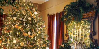 Christmas tree in living room next to fireplace