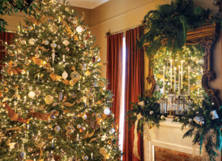 Christmas tree in living room next to fireplace