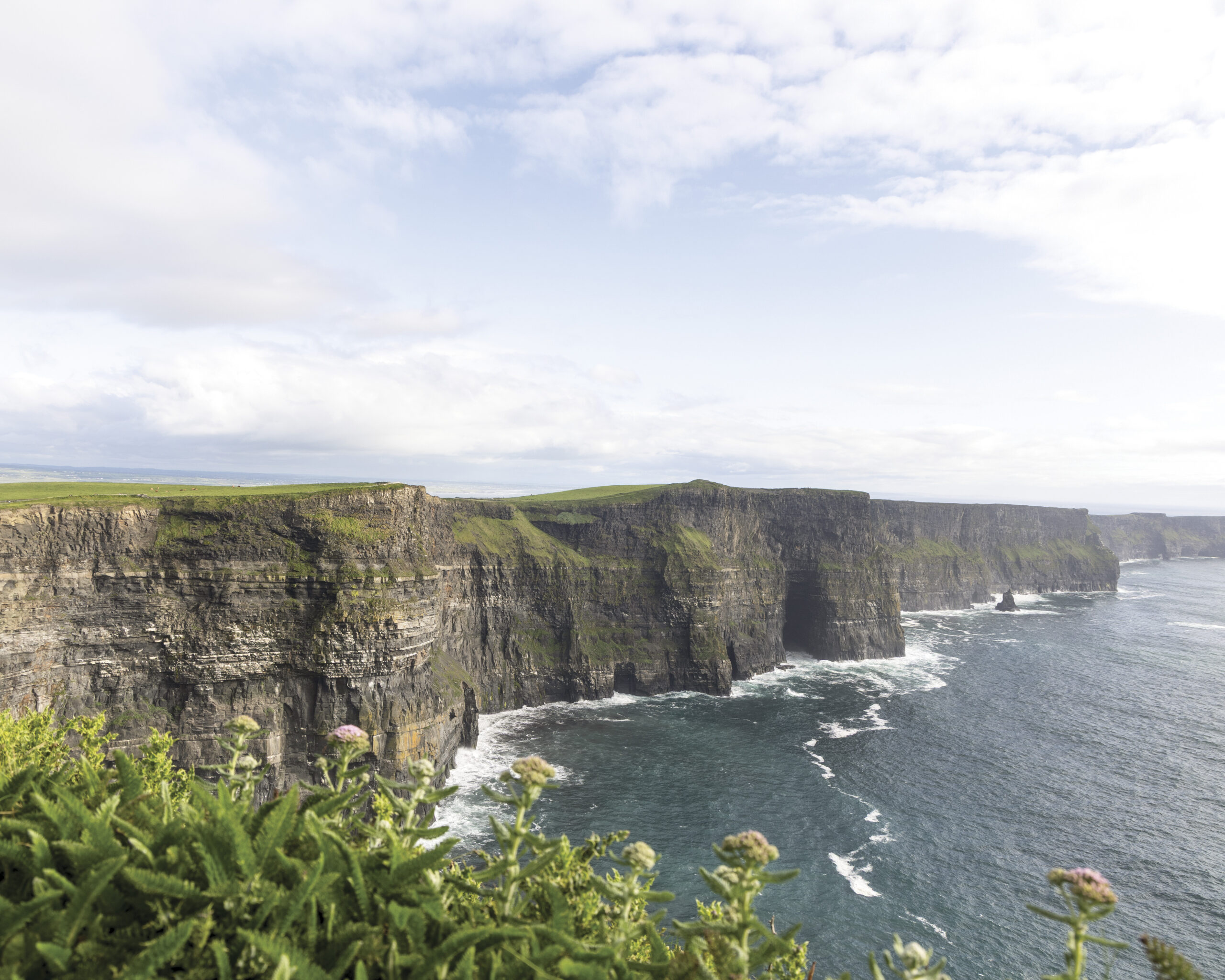 Sheer sea cliffs stretch along a rugged coastline, their layered rock faces rising above churning blue-green waves, while soft grasses and wildflowers frame the foreground beneath a bright, cloud-dappled sky.