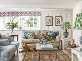 image of cottage living room with yellow dog
