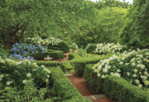 garden with brick walking path and hydrangeas and bubbling fountain in the center of hedges