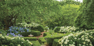 garden with brick walking path and hydrangeas and bubbling fountain in the center of hedges