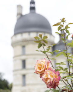 web_4 - Victoria exterior view of french chateau with focus on pink roses in the foreground